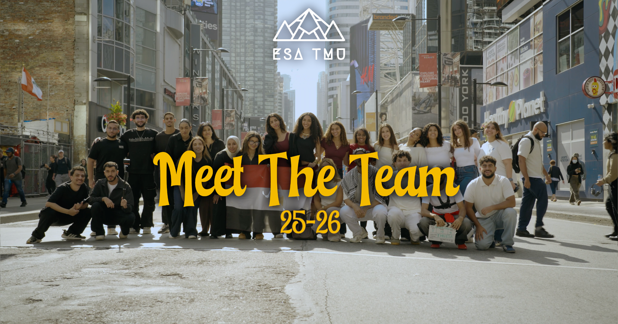 Meet the Team project artwork